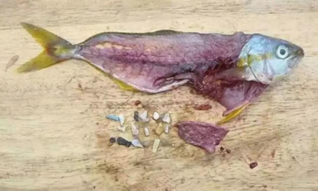 1634630941937941.jpeg 16.jpeg